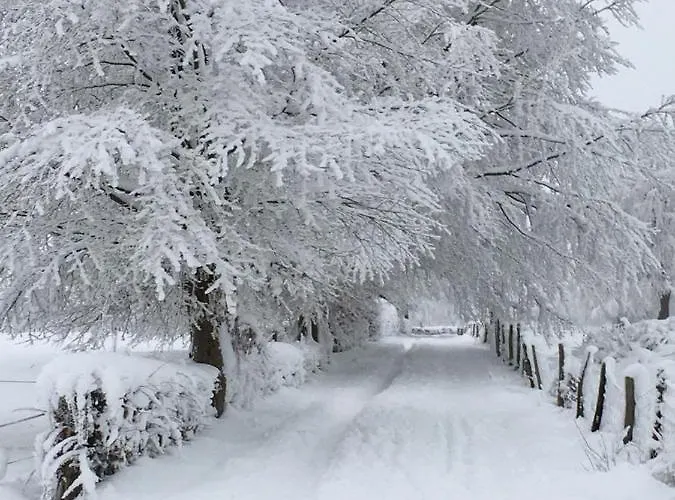 Casa de Férias Janne Monschau